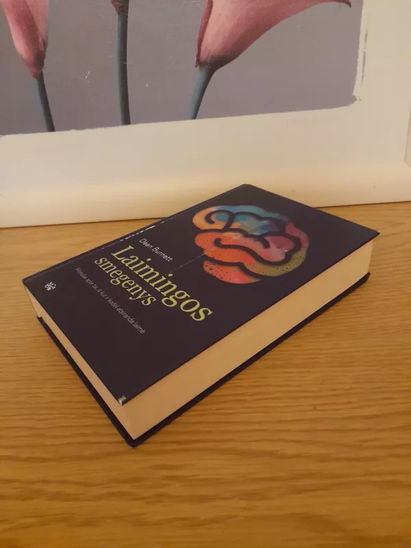 Laimingos smegenys: mokslas apie tai, iš kur ir kodėl atsiranda laimė? - Dean Burtnett, knyga 3