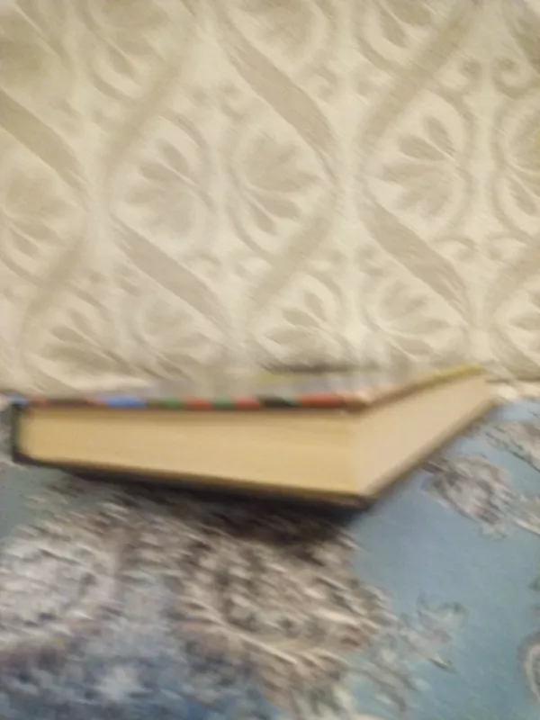 Askanijas (2 dalys) - Aleksandras Diuma, knyga 4