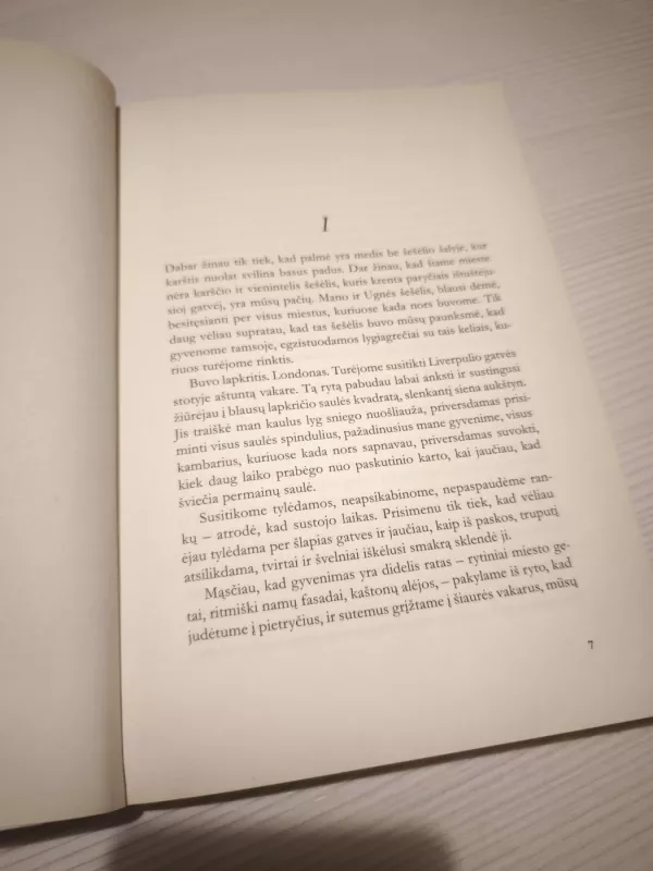 Neišsipildymas - Gabija Grušaitė, knyga 3