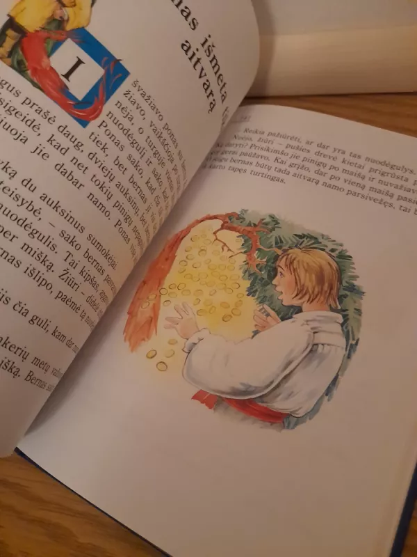 Gražiausios lietuvių sakmės - Matas Lapė, knyga 4