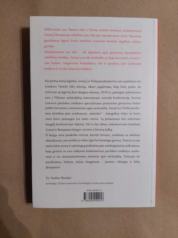 Nepažįstamasis ant tilto - Jonny Benjamin Britt Pflüger, knyga 3