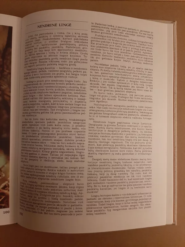 Plėšrieji sparnuočiai - Jonas Grigaliūnas, knyga 6