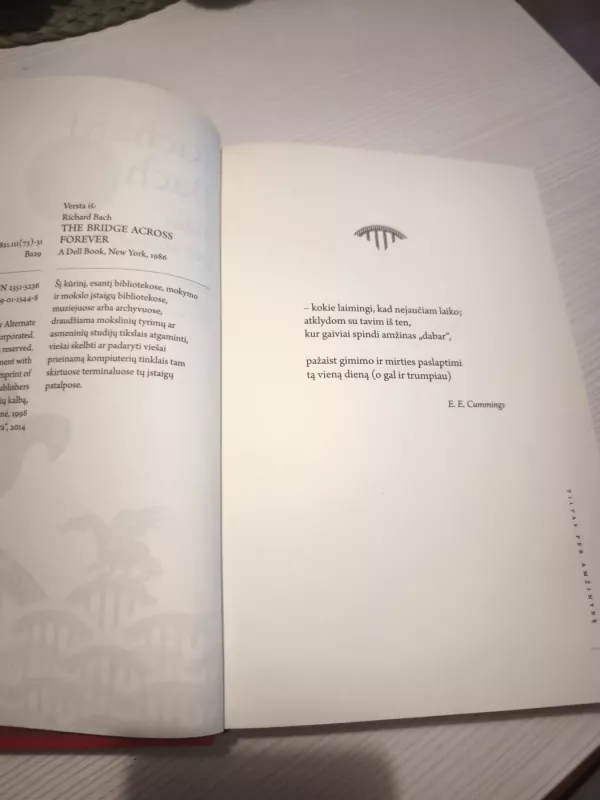 Tiltas per amžinybę - Richard Bach, knyga 4