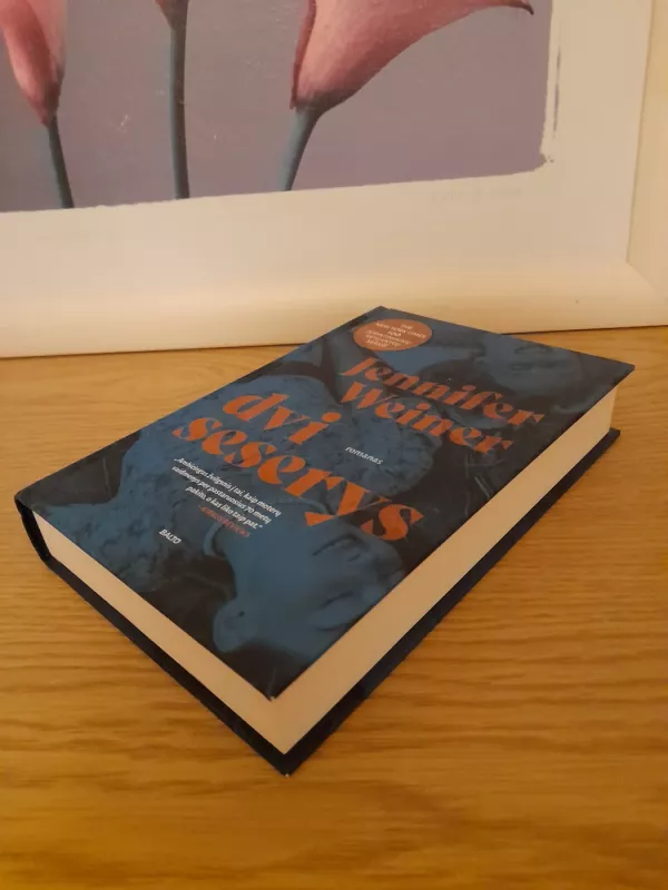 Dvi seserys - Jennifer Weiner, knyga 3