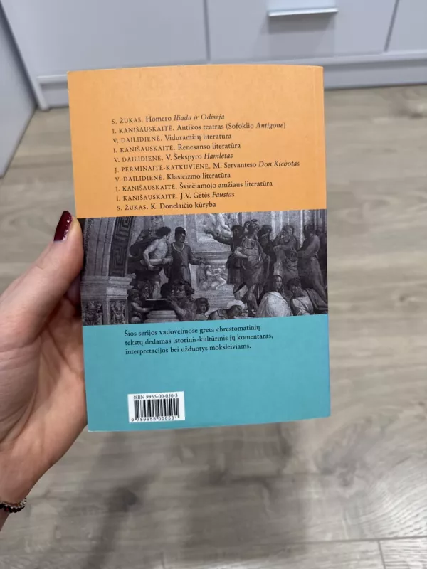 Renesanso literatūra - Irena Kanišauskaitė, knyga 3