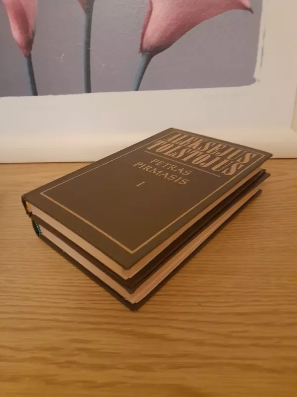 Petras Pirmasis (II tomai) - Aleksejus Tolstojus, knyga 3