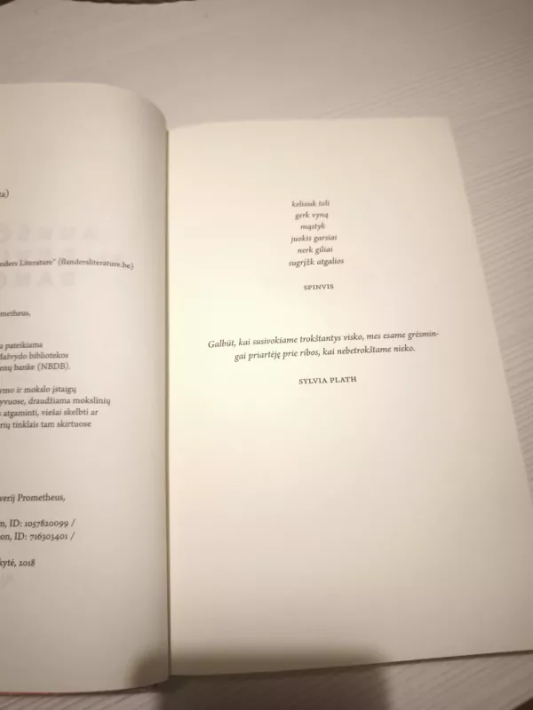 Aukščiau nei devintam danguj - Griet Op de Beeck, knyga 4