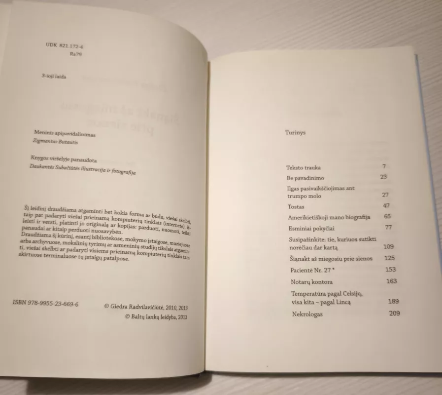 Šiąnakt aš miegosiu prie sienos - Giedra Radvilavičiūtė, knyga 3