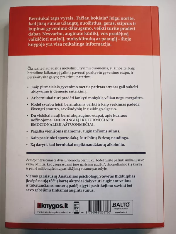 Kaip auginti berniukus XXI amžiuje - Steve Biddulph, knyga 3