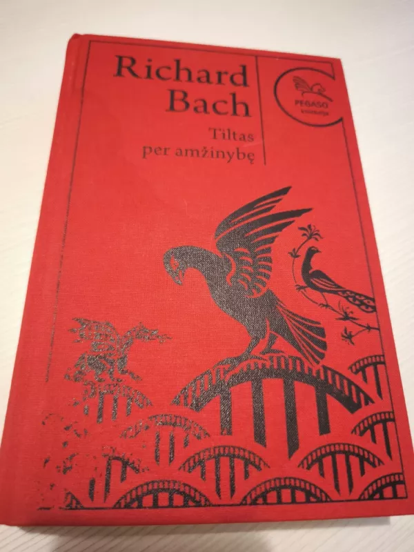 Tiltas per amžinybę - Richard Bach, knyga 2