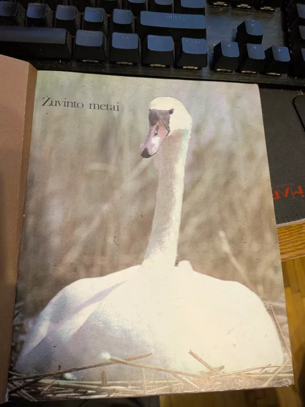 Žuvinto metai - Vytautas Nedzinskas, knyga 3