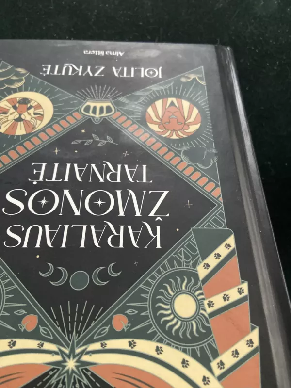 Karaliaus žmonos tarnaitė - Jolita Zykutė, knyga 3