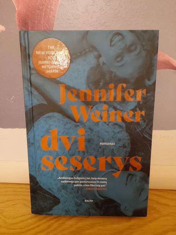 Dvi seserys - Jennifer Weiner, knyga 2