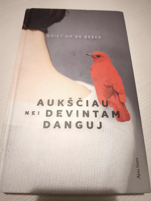 Aukščiau nei devintam danguj - Griet Op de Beeck, knyga 2