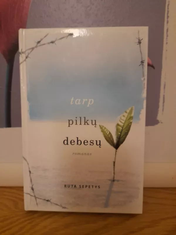 Tarp pilkų debesų - Šepetys Ruta, knyga 2