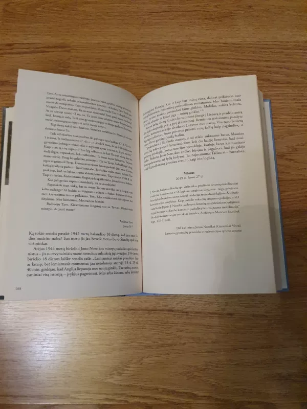 Vėtra Lietaus šalyje: Jono Noreikos anūkės pasakojimas - Silvia Foti, knyga 3