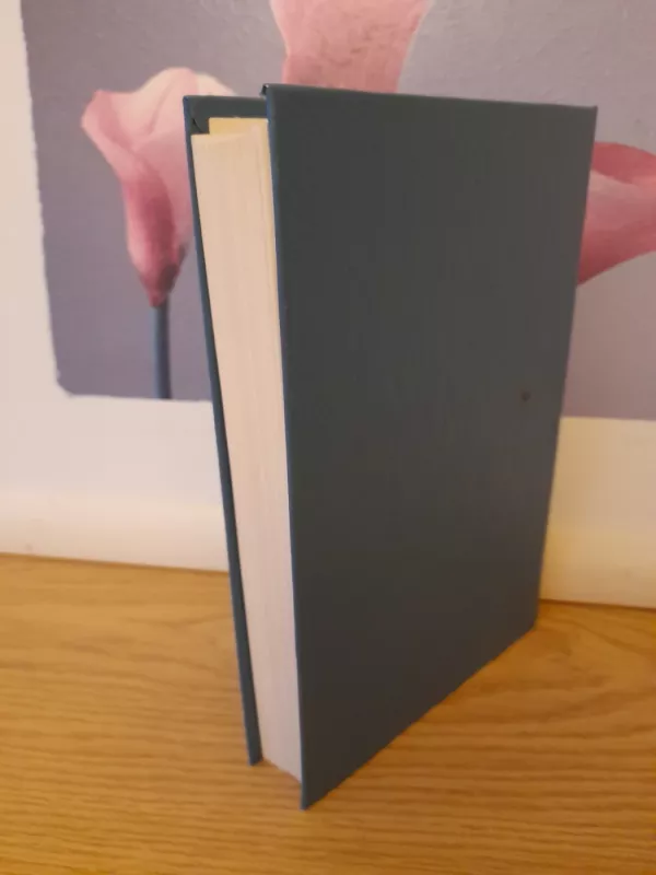 Lietuvos istorija - Vanda Daugirdaitė-Sruogienė, knyga 4