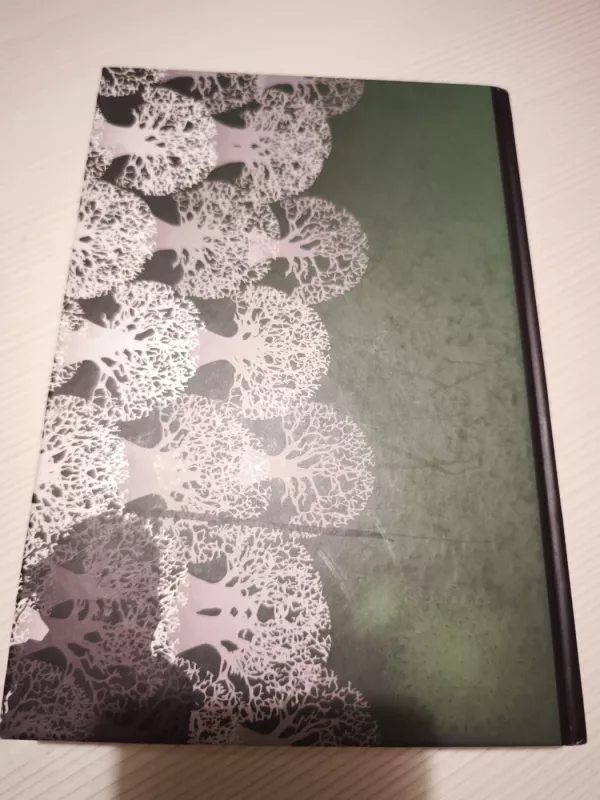 Viską susapnuoti dar kartą - Darius Rekis, knyga 3