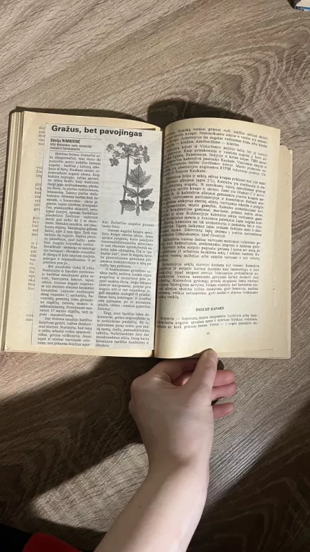 Maistinių augalų gydomosios savybės - L. Skliarevskis, knyga 3