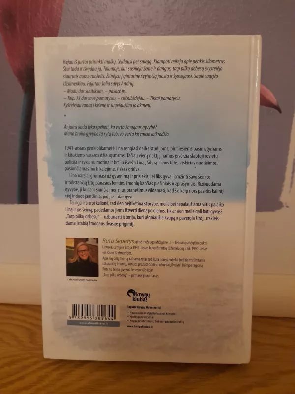 Tarp pilkų debesų - Šepetys Ruta, knyga 4