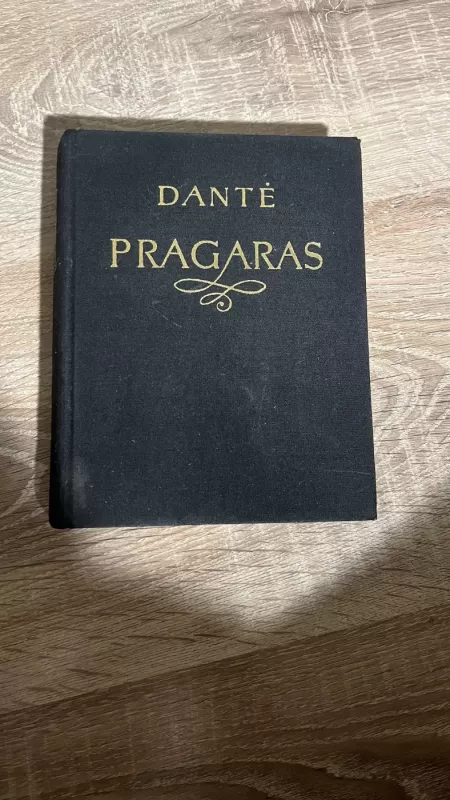 Dantė Pragaras - Alighieri Dante, knyga 2