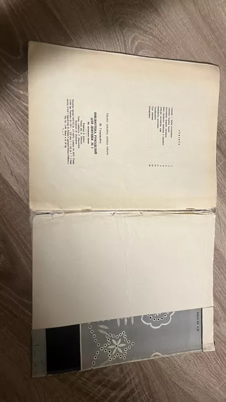 Adinukė - Mikalina Glemžaitė, knyga 4