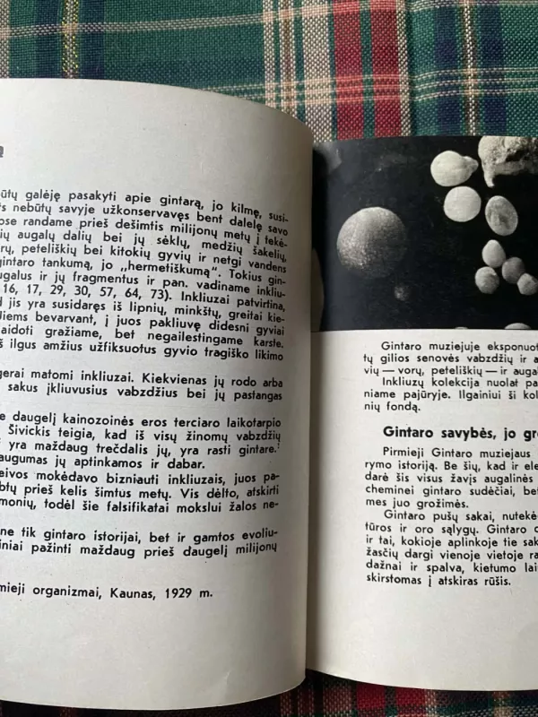 Palangos gintaro muziejus - P. Gudynas, knyga 4