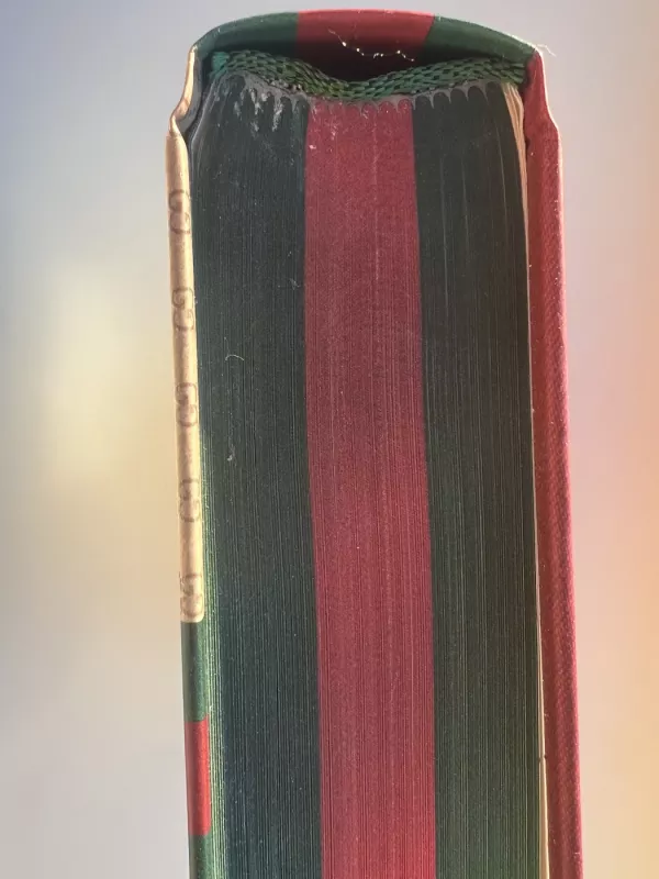 Gucci mados namai - Sara Gay Forden, knyga 5