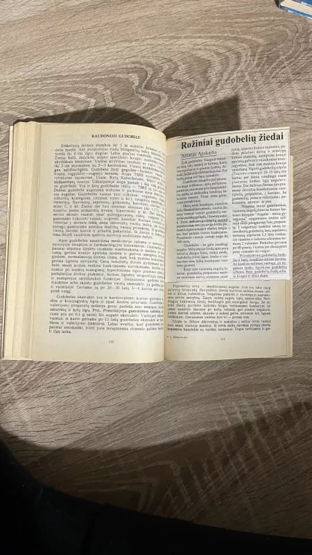 Maistinių augalų gydomosios savybės - L. Skliarevskis, knyga 5