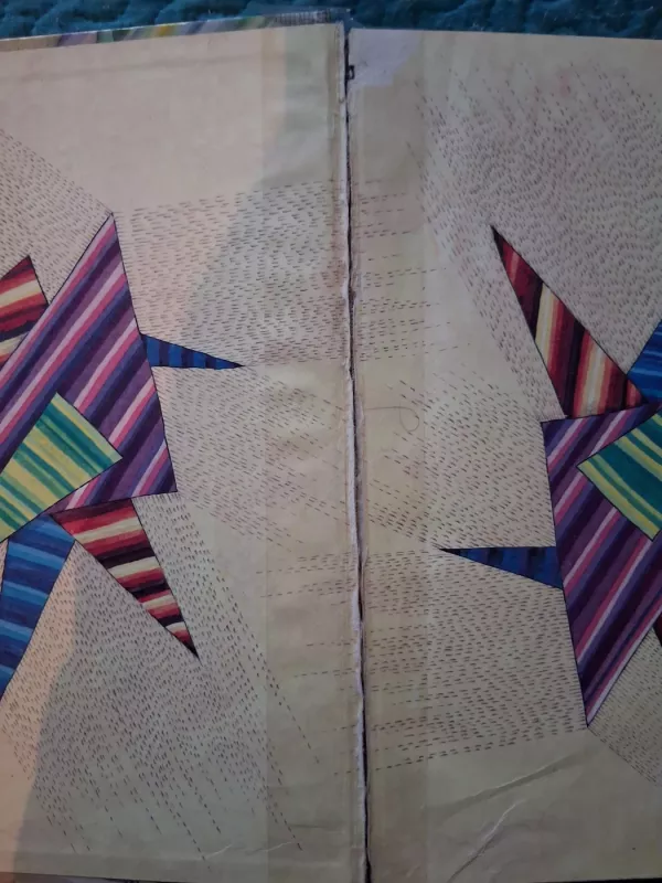 Didžioji mezgėja - R. Lipskytė, knyga 3