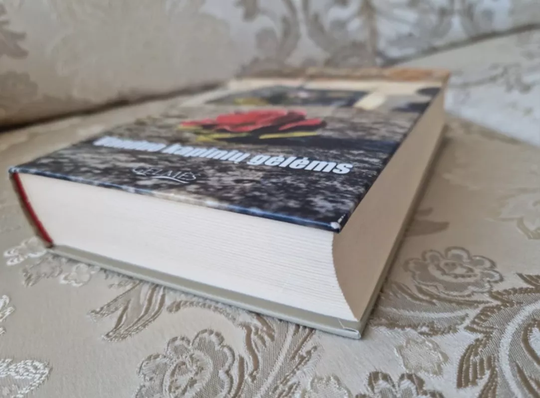 Vanduo kapinių gėlėms : romanas - Valerie Perrin, knyga 4