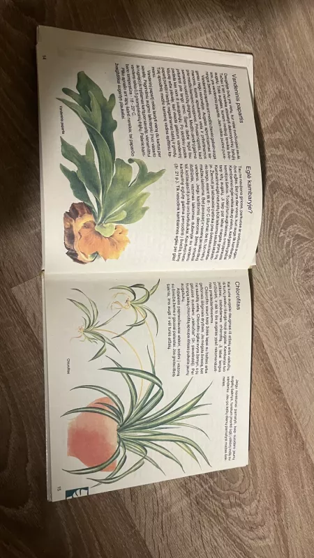 Mano žolynėliai - Elizabetė Mankė, knyga 4