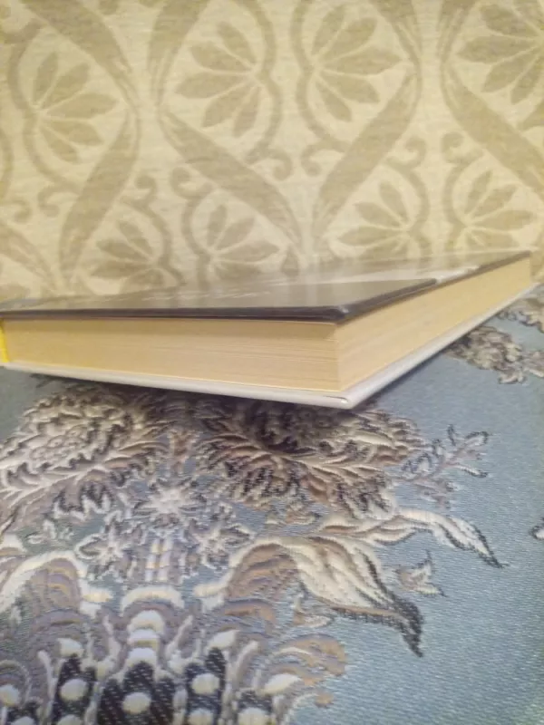 Izabelė Bavarietė - Aleksandras Diuma, knyga 3