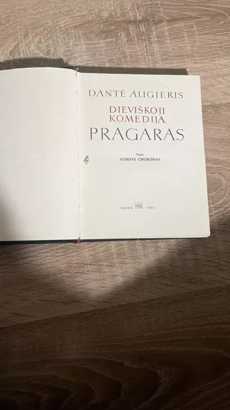 Dantė Pragaras - Alighieri Dante, knyga 3