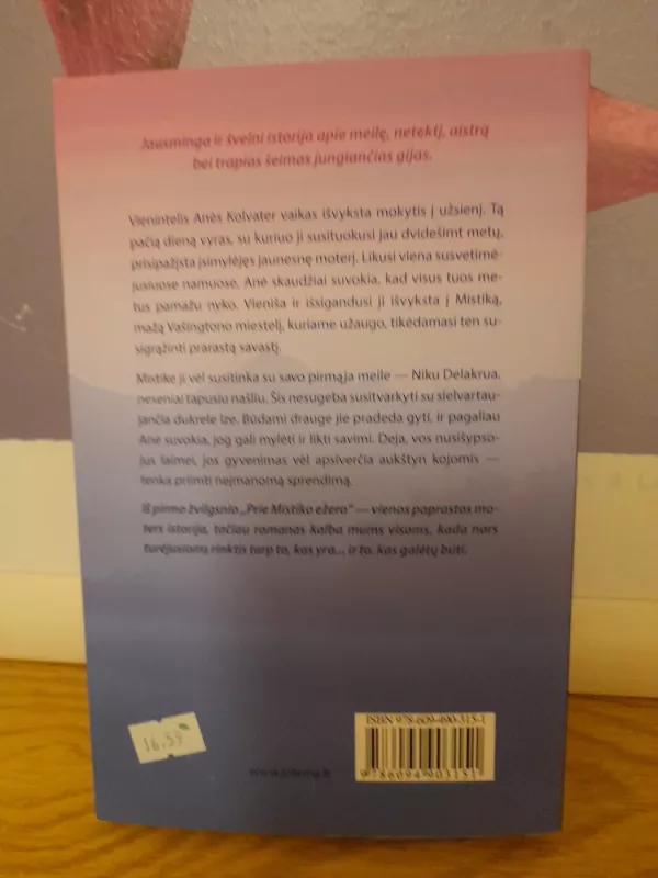 Prie Mistiko ežero : romanas - Kristin Hannah, knyga 4