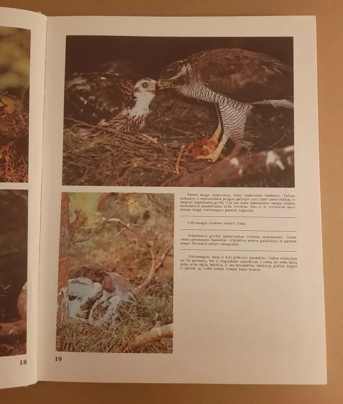 Plėšrieji sparnuočiai - Jonas Grigaliūnas, knyga 4