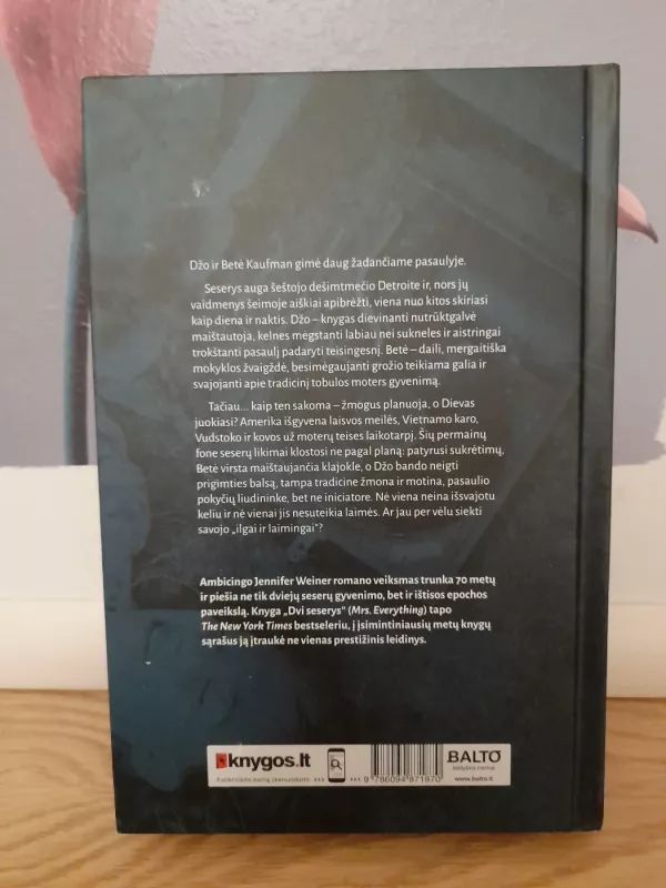 Dvi seserys - Jennifer Weiner, knyga 4