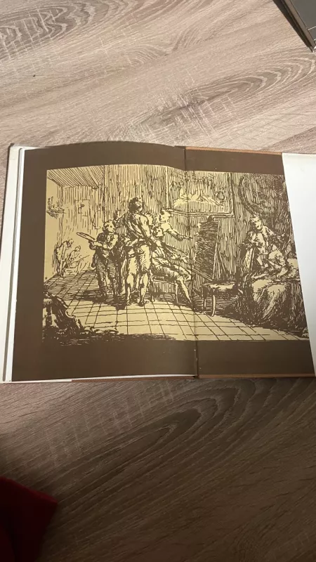 Vakarų Europos tapyba - Birutė Ziutelienė, knyga 5