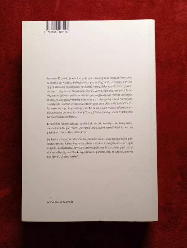 Q. romanas - Luther Blissett, knyga 3