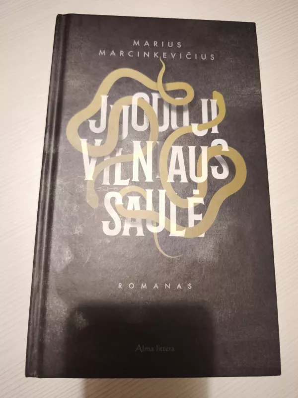 Juodoji Vilniaus saulė - Marius Marcinkevičius, knyga 2