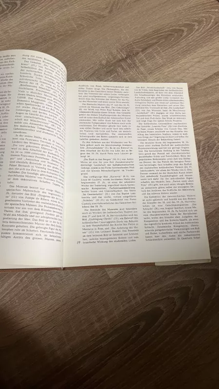 Vakarų Europos tapyba - Birutė Ziutelienė, knyga 4