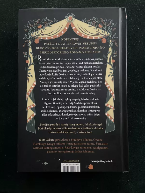 Karaliaus žmonos tarnaitė - Jolita Zykutė, knyga 2