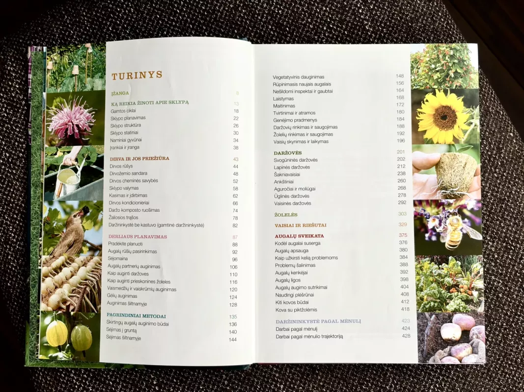 Protingas sodininkas. Visos sodo ir daržo paslaptys - Autorių Kolektyvas, knyga 5