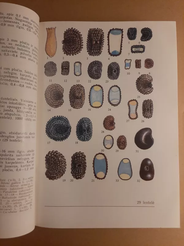 Lietuvos augalų vaisiai ir sėklos - Algirdas Grigas, knyga 6