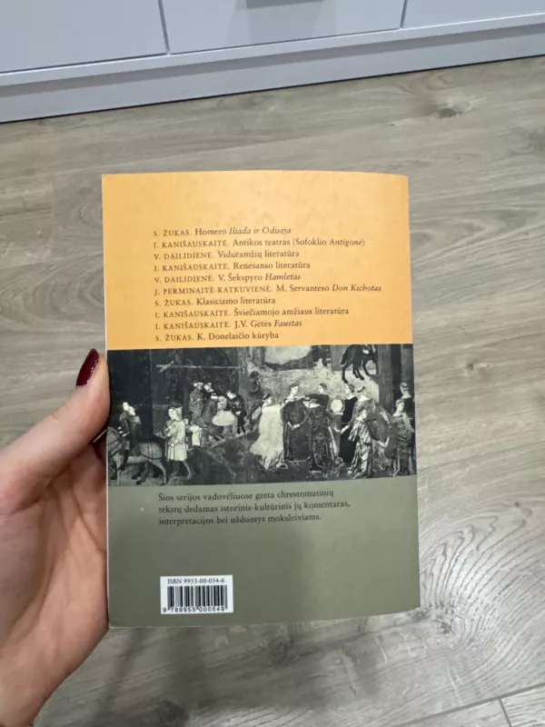 Viduramžių literatūra - Vilija Dailidienė, knyga 3