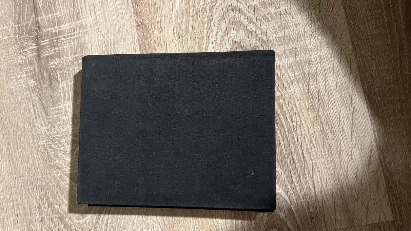 Dantė Pragaras - Alighieri Dante, knyga 4