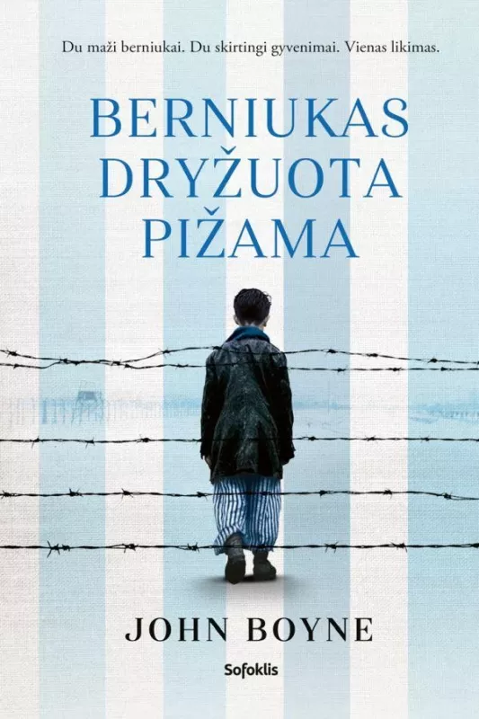 Berniukas dryžuota pižama - John Boyne, knyga 2