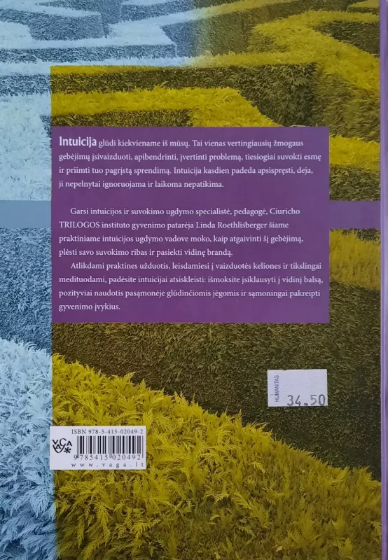 Intuiciją galima lavinti - Linda Roethlisberger, knyga 3