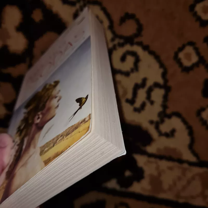 Palaimos sodas. Kaip atrasti ir puoselėti moteriškumą - Moffitt Debra, knyga 4