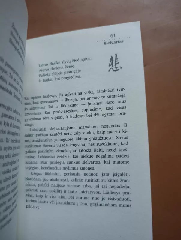 365 DAO Įžvalgos kasdienai - Deng Ming-Dao, knyga 5